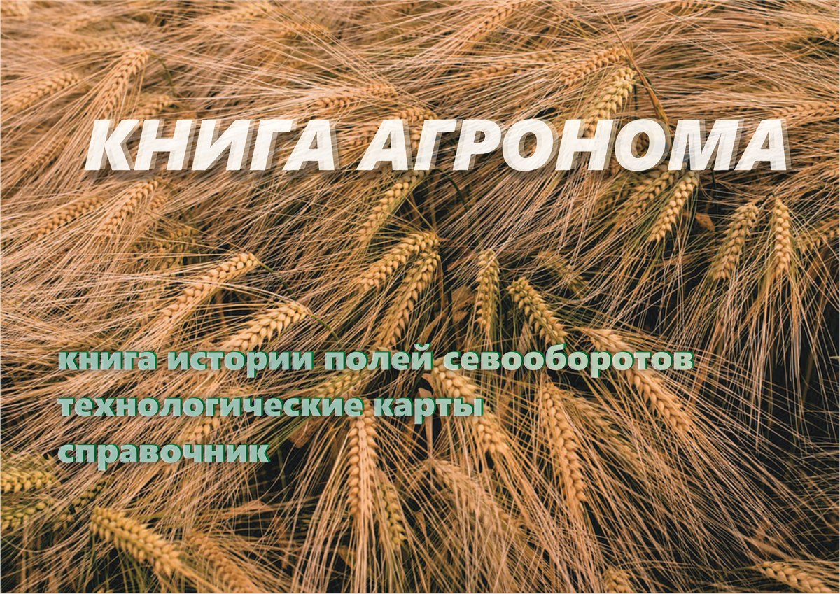 image003